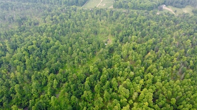 40 Acres Cth H, Gleason, WI 54435 - photo 3