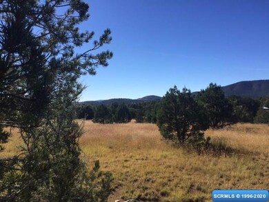 61 Euphoria Rd, Silver City, NM 88061 - photo 3