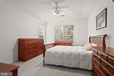 5001 Willow Branch Way unit 302, Owings Mills, MD 21117 - photo 4