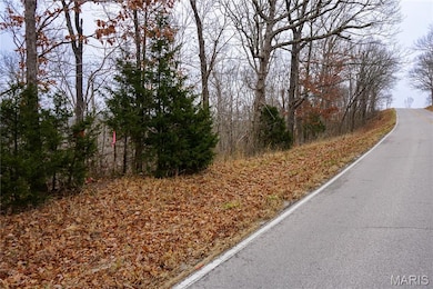 Tract B State Route Y, Dixon, MO 65459 - photo 3