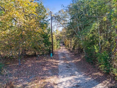 TBD County Road 396, Tyler, TX 75708 - photo 4