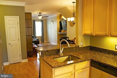 42542 Mayflower Terrace unit 42542, Ashburn, VA 20148 - photo 6