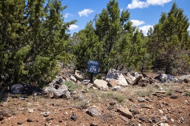 1-Eagles Way lot 274