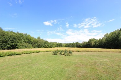 IMG_1595
