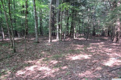 795 New Forge Rd II, Taghkanic, NY 12521 - photo 6