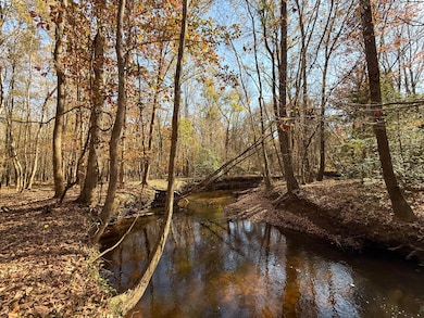 0 State Road S-28-87, Bethune, SC 29009 - photo 2