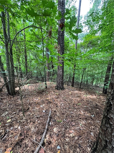 127 Creek View Dr, Seneca, SC 29678 - photo 5