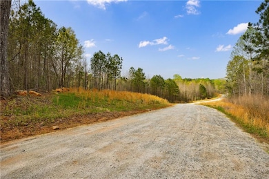 8385 Serenbe Rd, Chattahoochee Hills, GA 30268 - photo 4