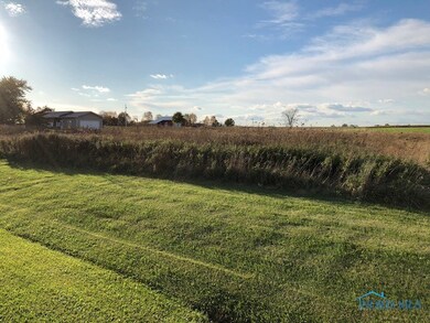 10557 Us Highway 127 State Hwy, West Unity, OH 43570 - photo 2