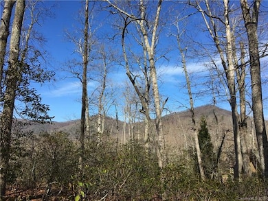 499 Walnut Valley Pkwy unit 132, Arden, NC 28704 - photo 4