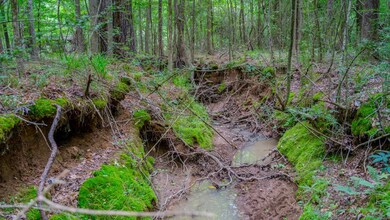 0000 Big Creek Rd, Byram, MS 39212 - photo 7