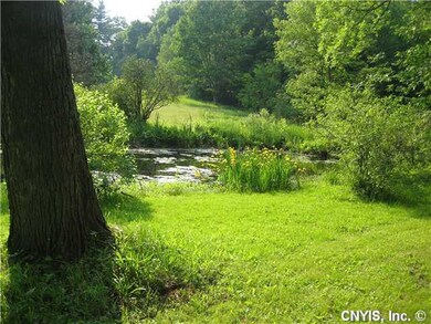 Yard/Garden