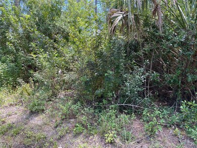 Wooded lot