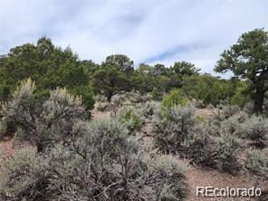 4584 Laidlaw, Fort Garland, CO 81133 - photo 7