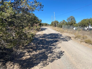 0 Bryant Rd, Edgewood, NM 87015 - photo 5