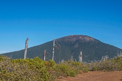 70390 Mcallister Rd unit Parcel 1, Sisters, OR 97759 - photo 7