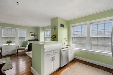 The Charlesview unit 307, Boston, MA 02215 - photo 5