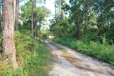 2976 Pristine Dr, Carrabelle, FL 32322 - photo 5