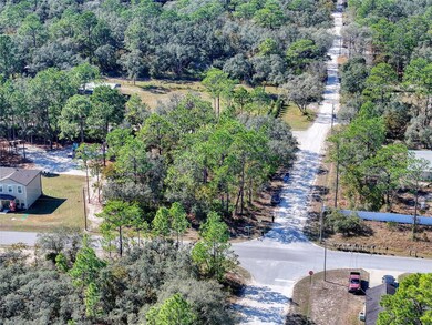 10484 Snowbird Ave, Weeki Wachee, FL 34614 - photo 6