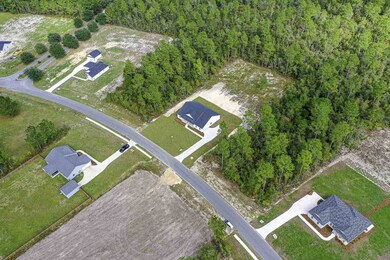 74 Calusa Way, Crawfordville, FL 32327 - photo 6