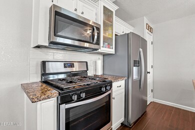 821 Desert Bush Dr, El Paso, TX 79928 - photo 7