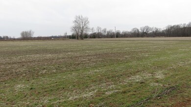 14229 Pardee Rd, Three Oaks, MI 49128 - photo 5