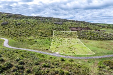 42260 Story Teller Ln, Steamboat Springs, CO 80487 - photo 4