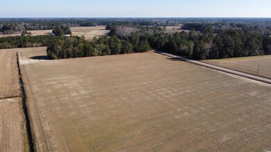 TBD Shelley Ln, Nichols, SC 29581 - photo 4