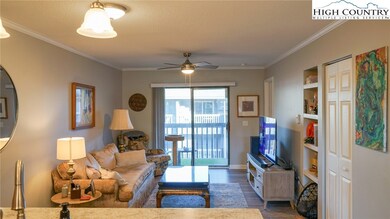 475 Meadowview Dr unit B306, Boone, NC 28607 - photo 6