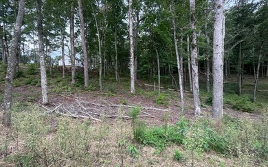 Additional View