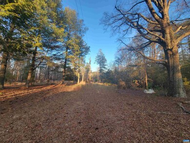 0 Marchia Ln unit 31C 645648, Charlottesville, VA 22902 - photo 7