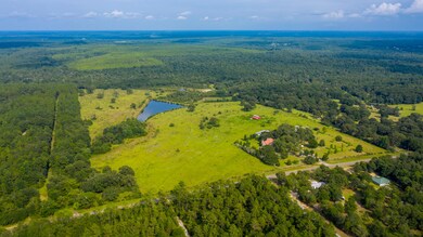 6333 Co Rd 393 Aerial-2