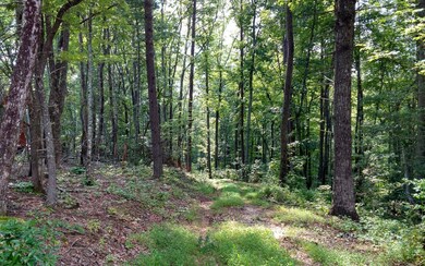 Additional View