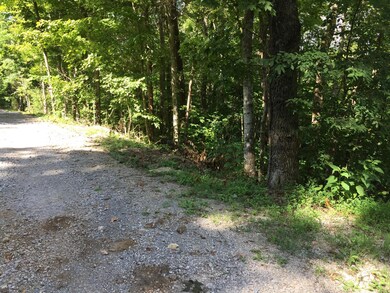 Lt 39-42 Chestnut St, Burnside, KY 42519 - photo 7