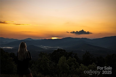 Welcome to Lot 5 Shoal Ridge with around 100* Mountain Views - seeing Layering Mountains that range from 1500-6500ft elevation!