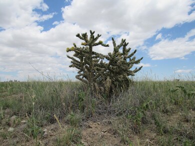 0 Santa Fe Trail Ranch unit Lot 7 24-535, Trinidad, CO 81082 - photo 4