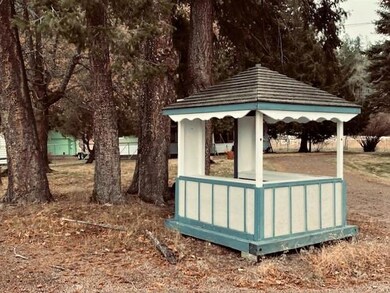Carousel Image