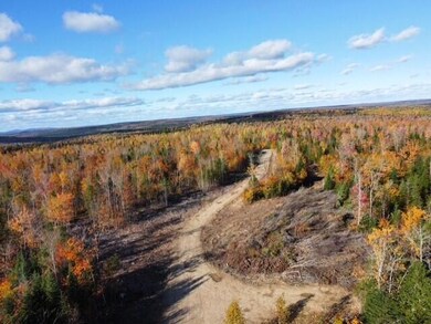 thumbnail_dji_fly_20241011_150254_358_17