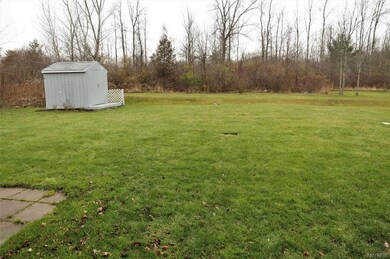 Storage shed and tranquility!