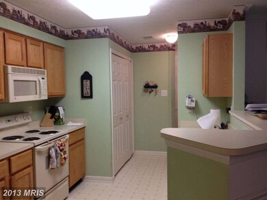 4729 Shellbark Rd, Owings Mills, MD 21117 - photo 6