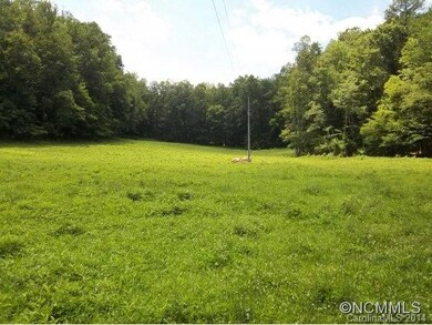 NW view lower pasture