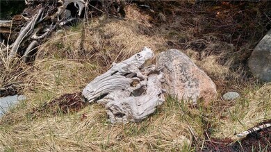 Driftwood treasure found on...