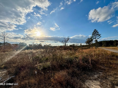 0 Matthew Johnson Rd, Wiggins, MS 39577 - photo 6