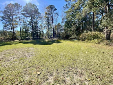 501 N Nichols St, Nichols, SC 29581 - photo 4