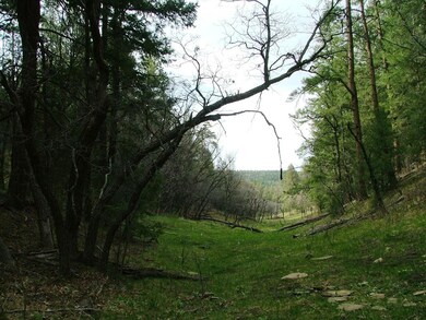 28 Puma Ct unit H13, Trinidad, CO - photo 6
