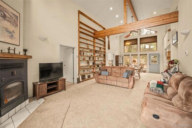 20202 Spring Creek Trail, Buffalo Creek, CO 80425 - photo 6