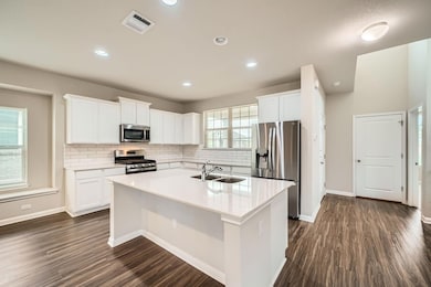 Kitchen with stainless steel appliances, decorati