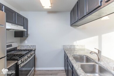 22-Kitchen MS_110031