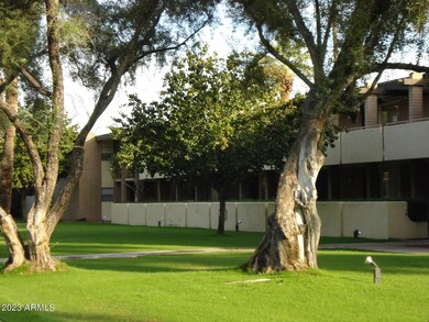 Verde Vista