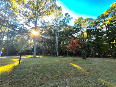 24/25 Pine Cove Cir unit 24/25, Belle Haven, VA 23306 - photo 4